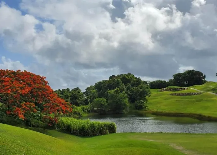 Modern 4br Hillside Pool & Club Access Montego Bay